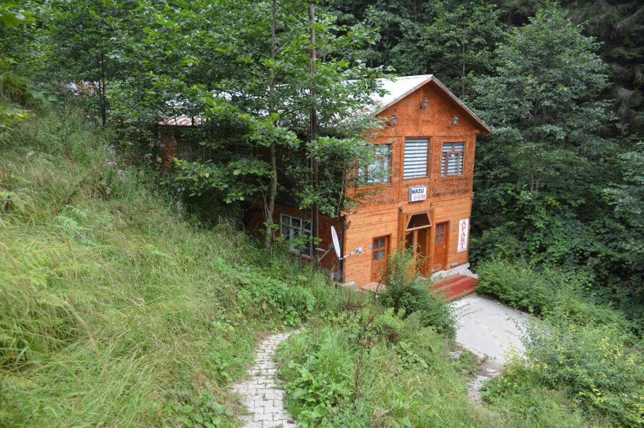 AYDER Nazlı çiçek apart Dış mekan fotoğraf
