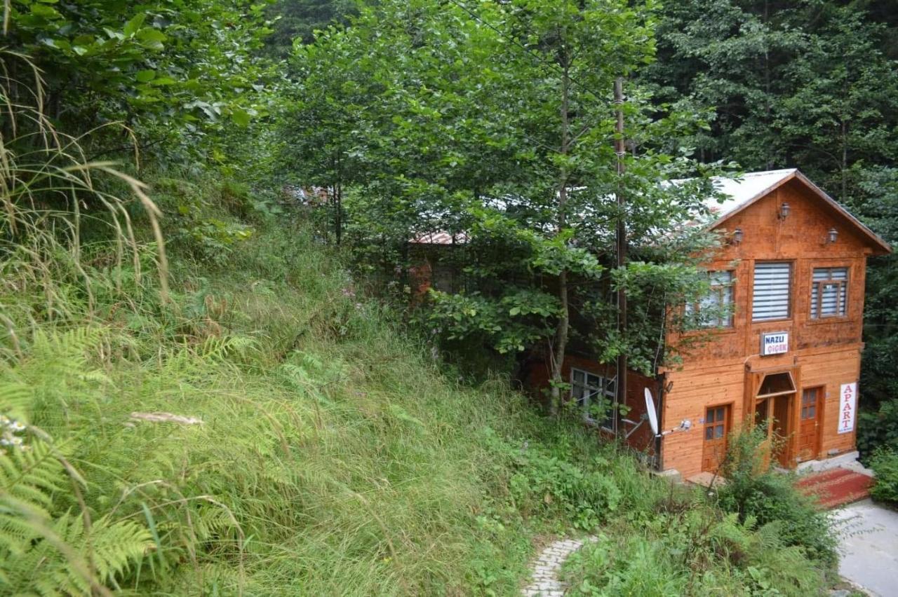 AYDER Nazlı çiçek apart Dış mekan fotoğraf
