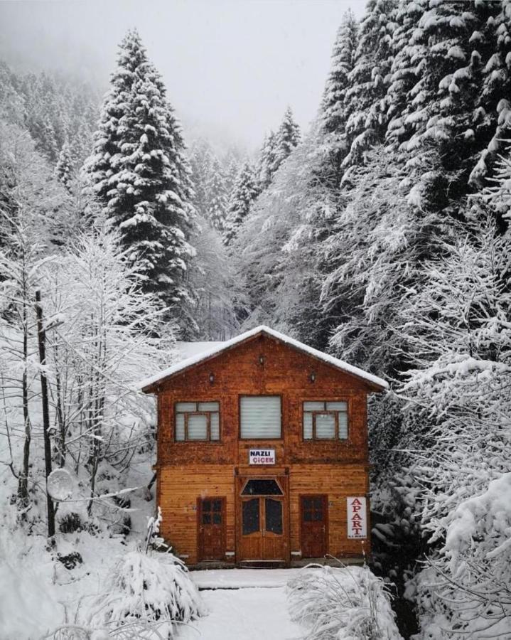 AYDER Nazlı çiçek apart Dış mekan fotoğraf